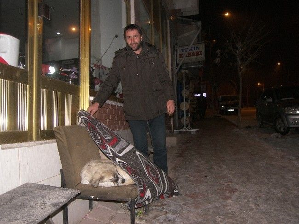 Köpeğe Soğuktan Korumak İçin Battaniyeli Koruma