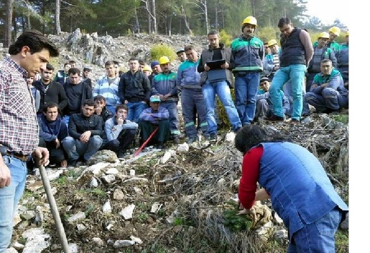 Köyceğiz\'de Öğrencilere Silvikültür Tatbikatı