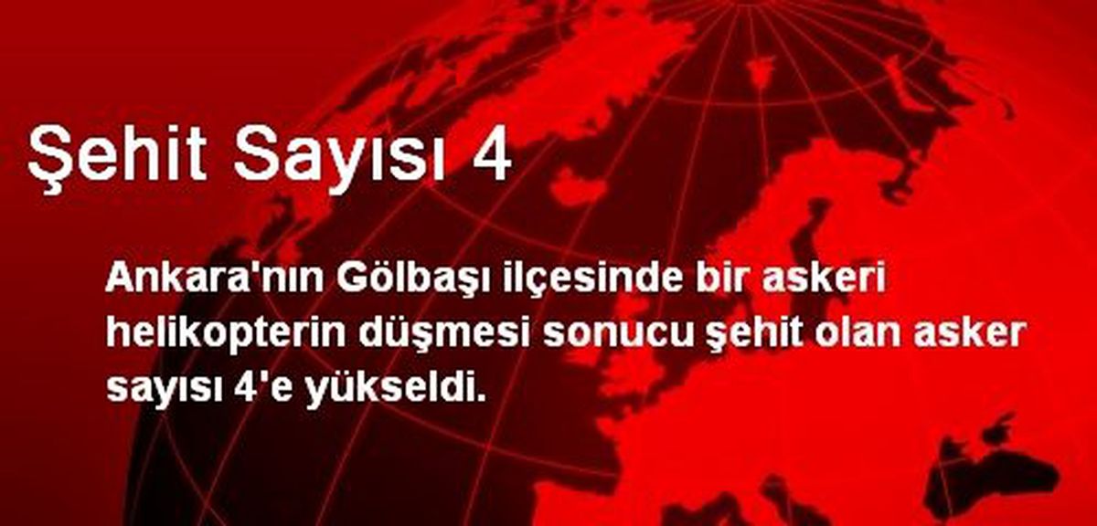Şehit Sayısı 4