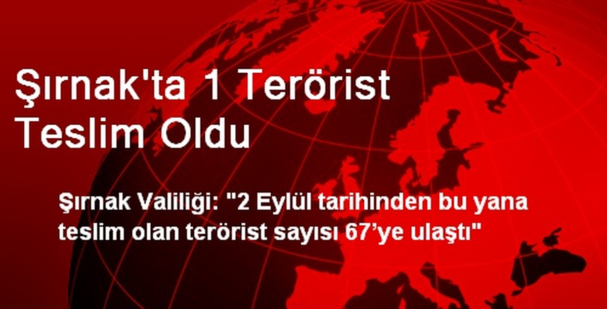 Şırnak\'ta 1 Terörist Teslim Oldu
