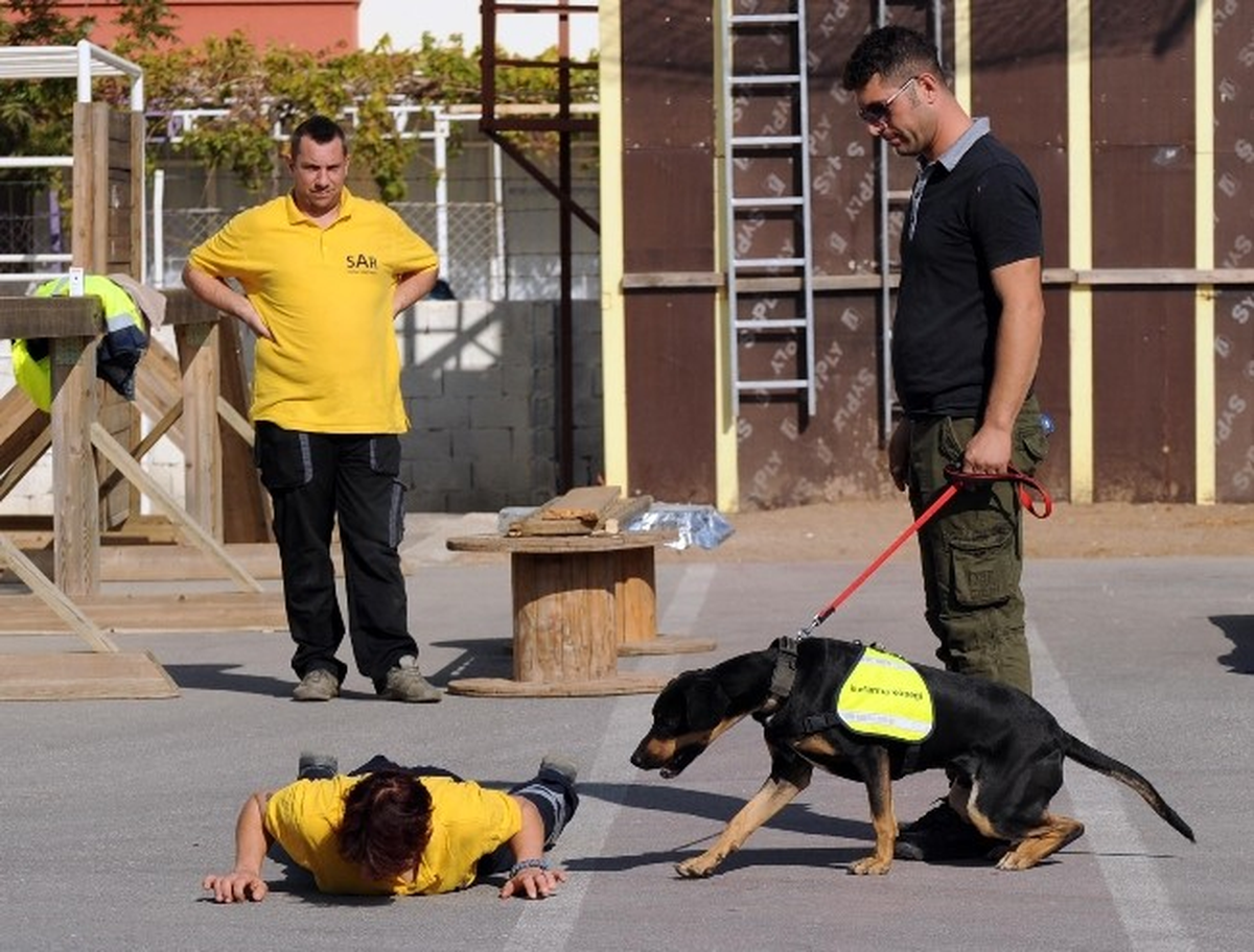 Sahipsiz Köpekler Uzman Kurtarma Köpekleri Olacak