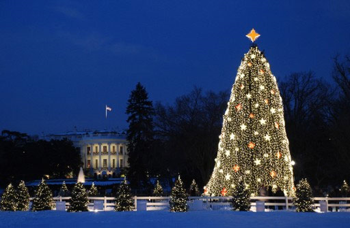 Washington, Yeni Yıla Işıltılarla Girecek