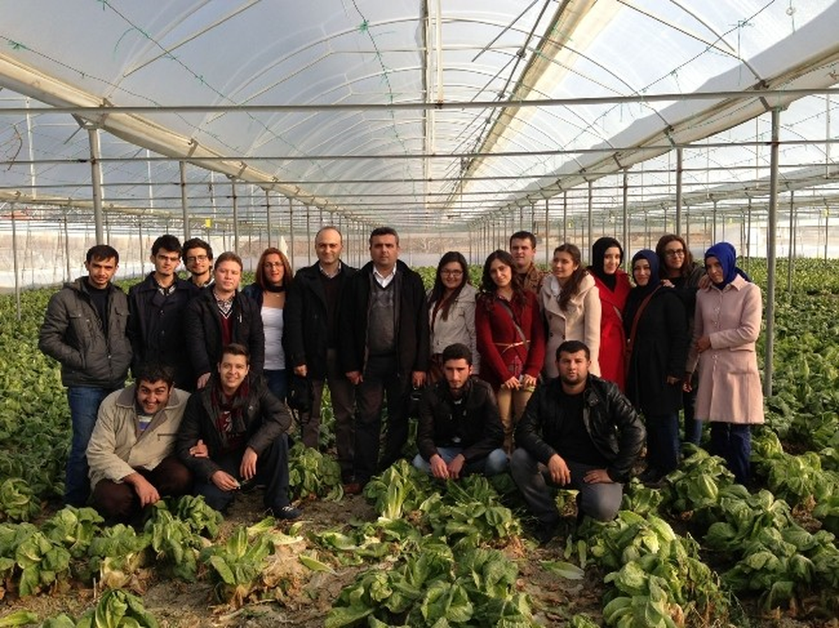 Aü Öğrencileri Don Vurmuş Sebzeleri İnceledi