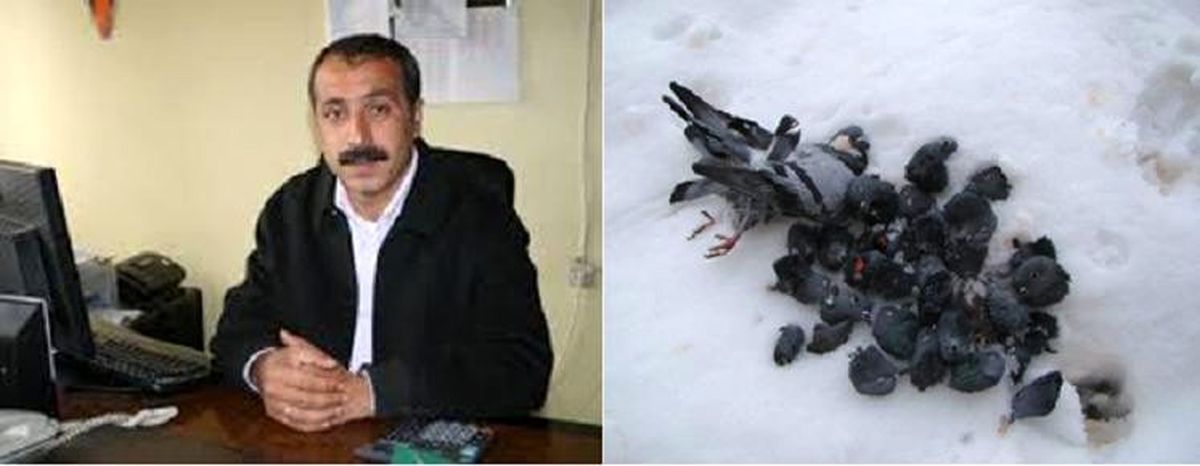 "Avcılık İnsani Değil"