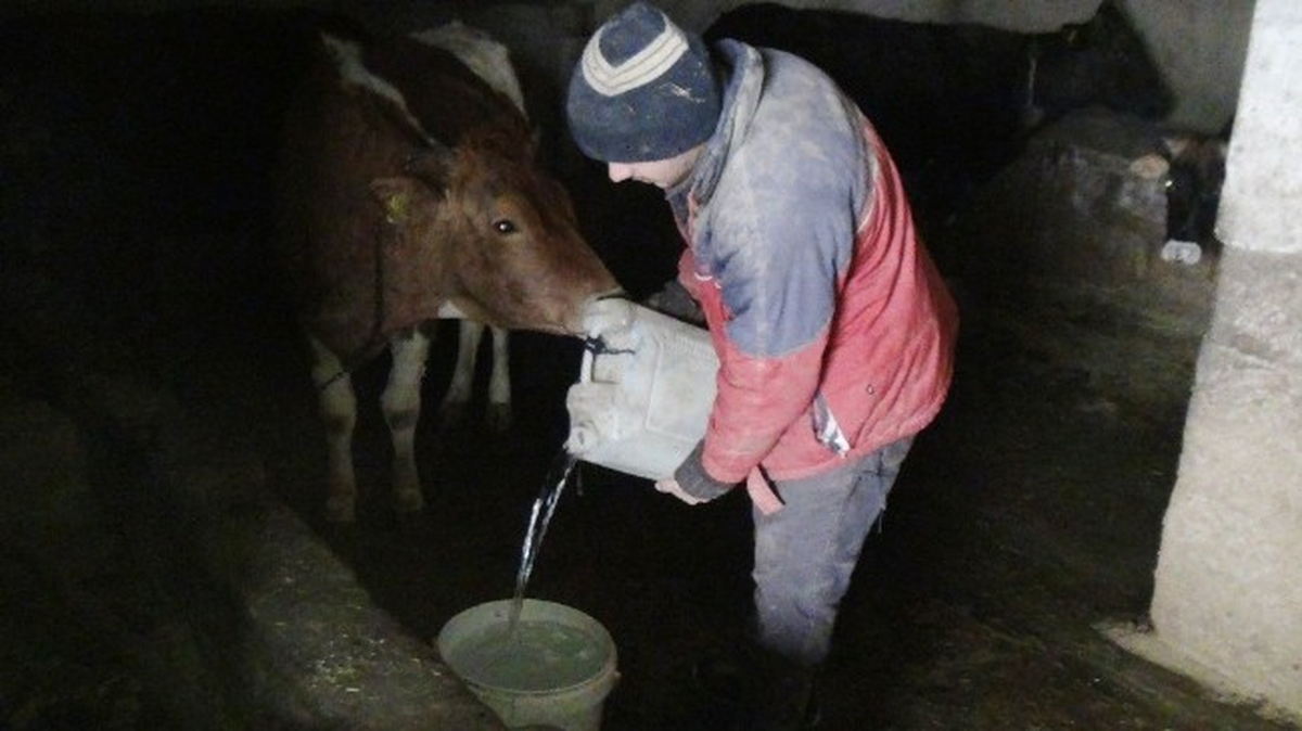 Bitlis\'te Dondurucu Soğuklar