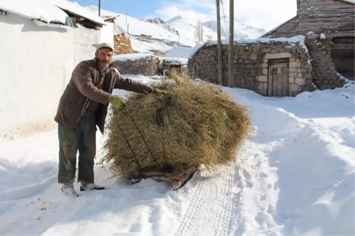 Kızaklı Mesai Başladı