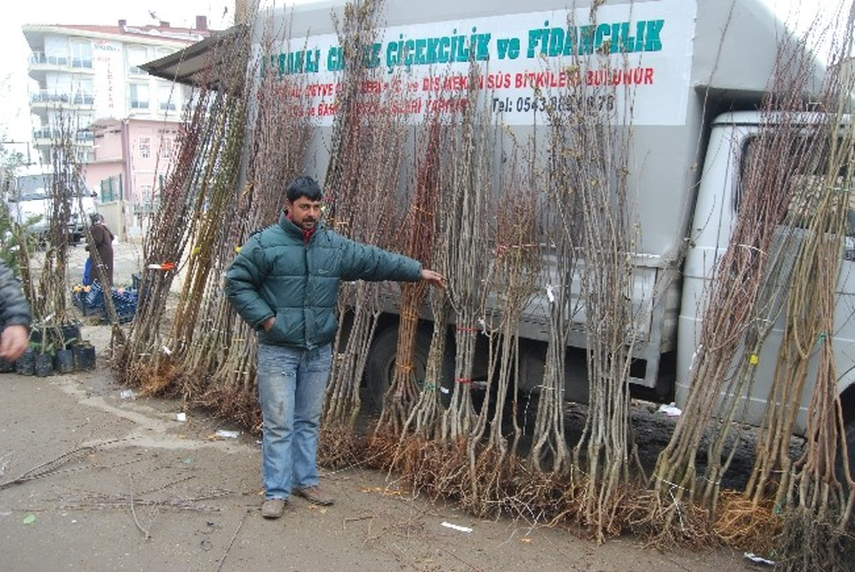Malkara\'da Fidan Satışları Hızlandı
