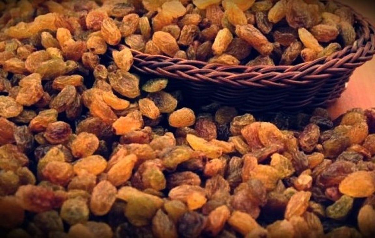 Manisa Ticaret Borsası