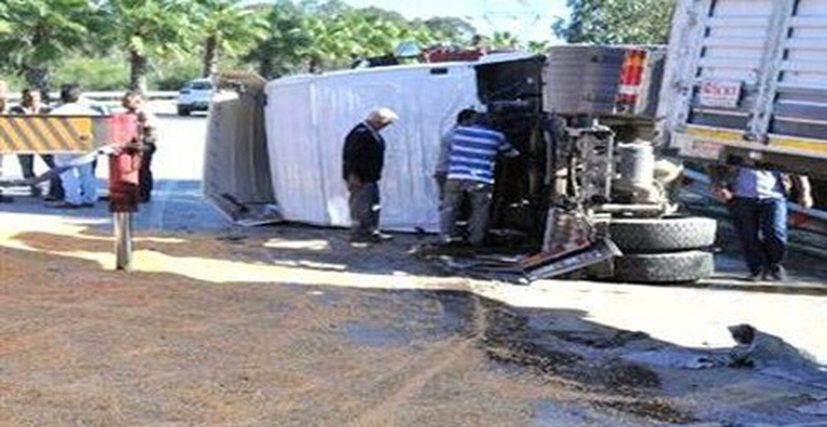 Mısır\'da Trafik Kazası: 15 Ölü