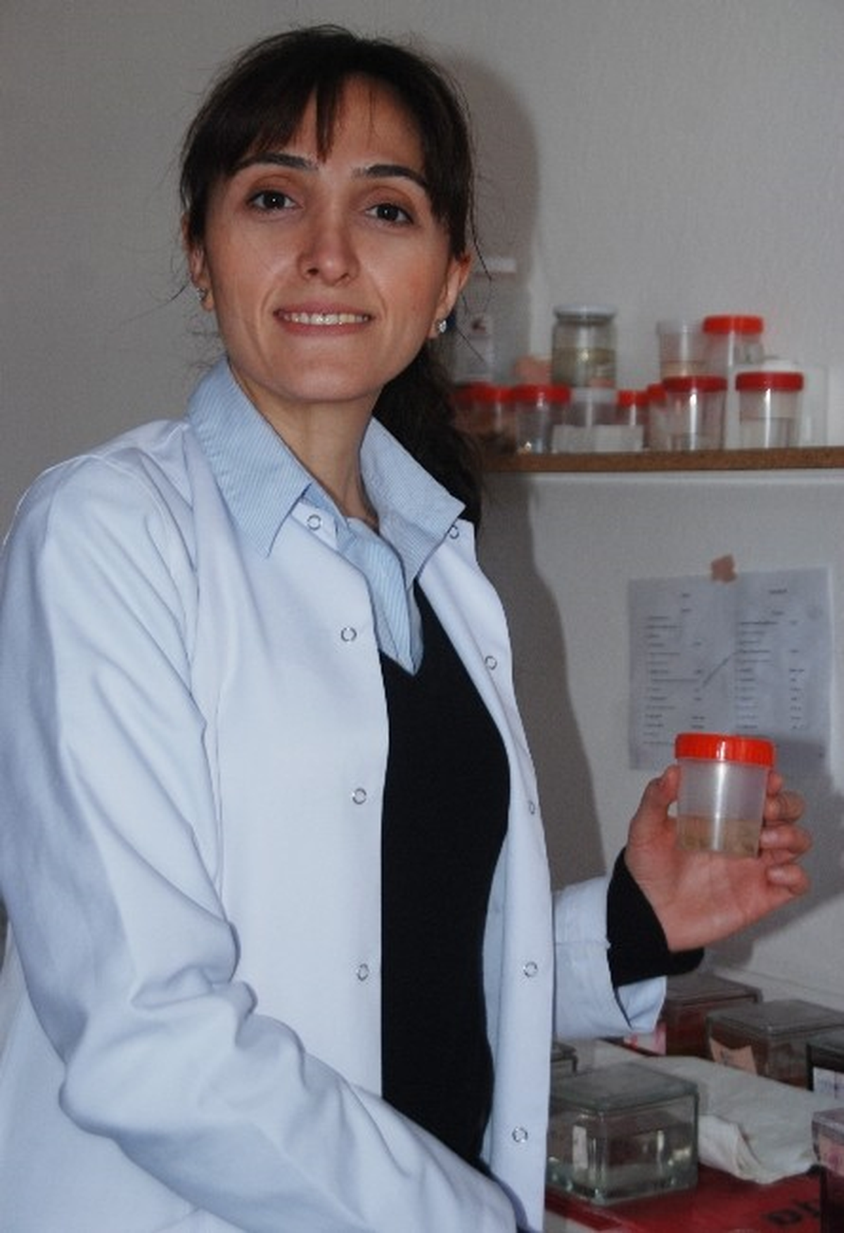 "Mısır Şurubu Karaciğeri Yağlandırıyor"