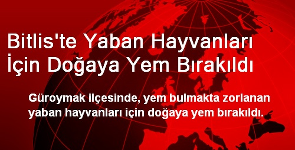 Bitlis\'te Yaban Hayvanları İçin Doğaya Yem Bırakıldı