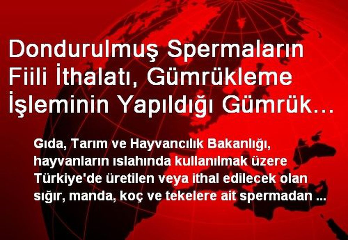 Dondurulmuş Spermaların Fiili İthalatı, Gümrükleme İşleminin Yapıldığı Gümrük Müdürlüğünce...