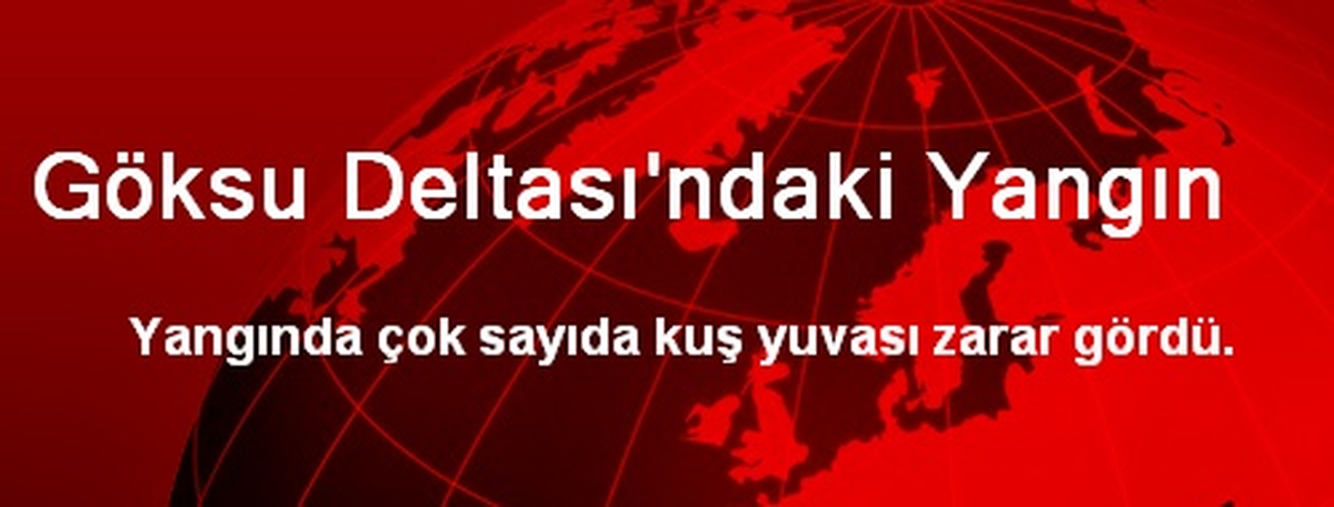 Göksu Deltası\'ndaki Yangın