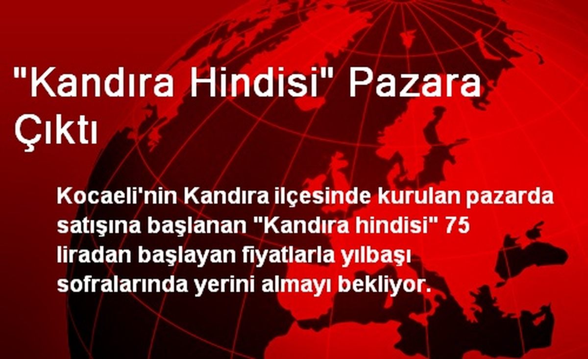 "Kandıra Hindisi" Pazara Çıktı