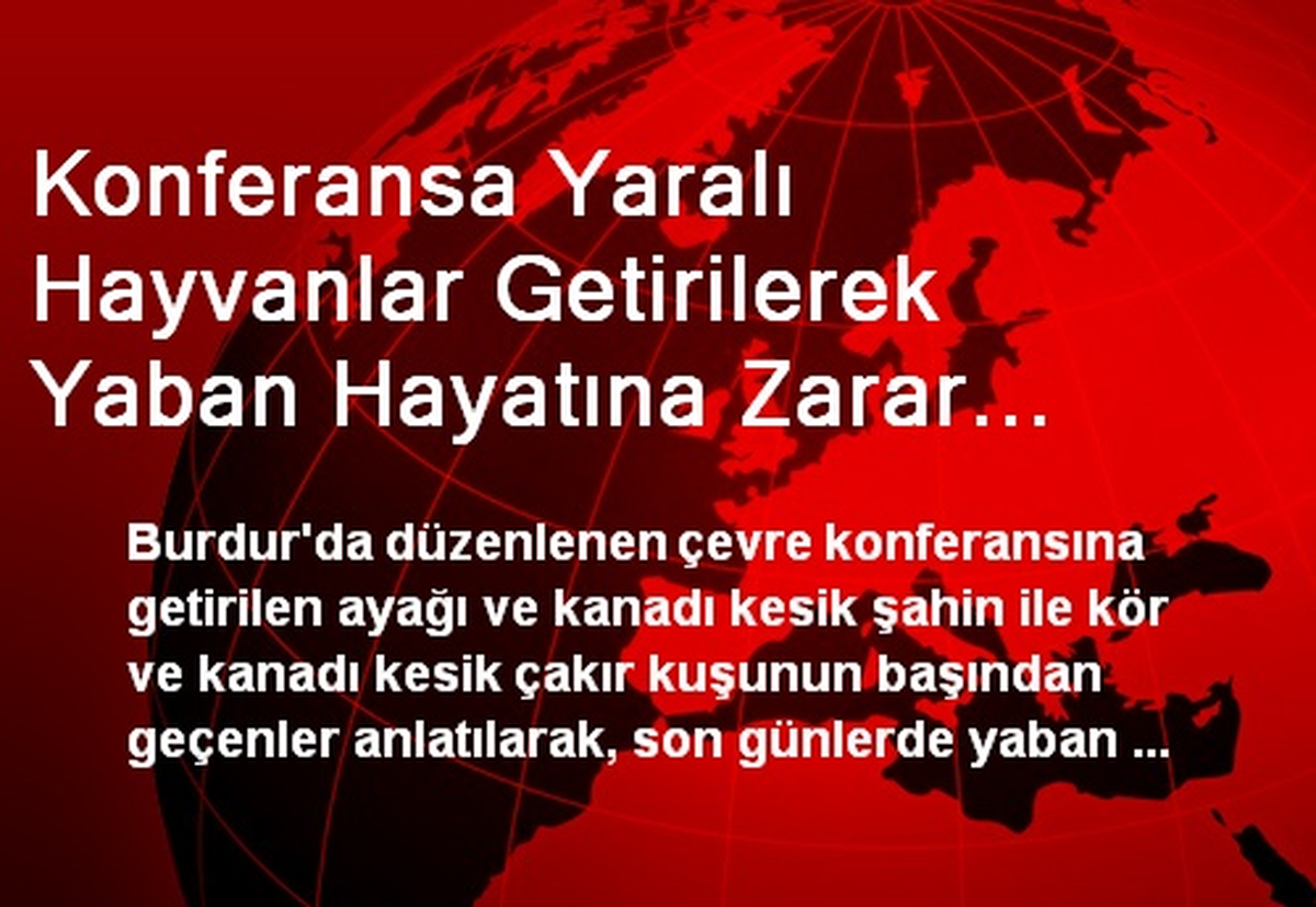 Konferansa Yaralı Hayvanlar Getirilerek Yaban Hayatına Zarar Anlatıldı