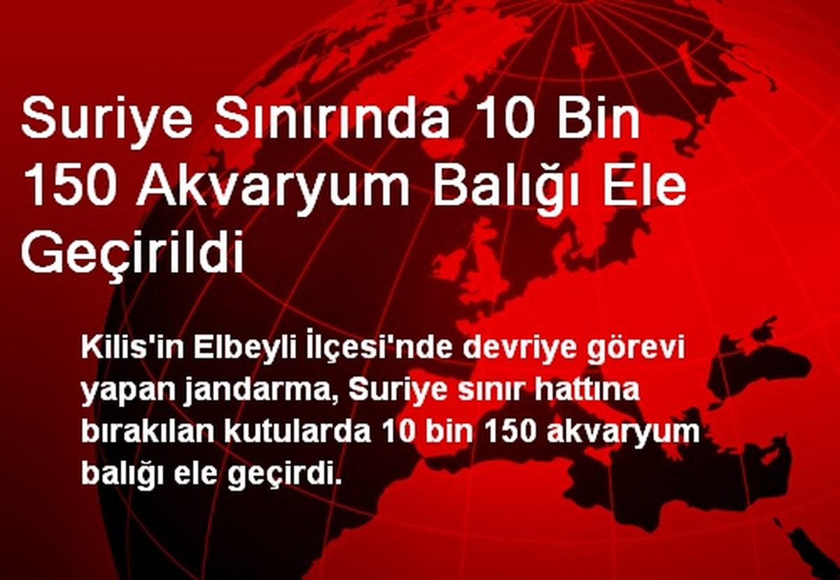 Suriye Sınırında 10 Bin 150 Akvaryum Balığı Ele Geçirildi
