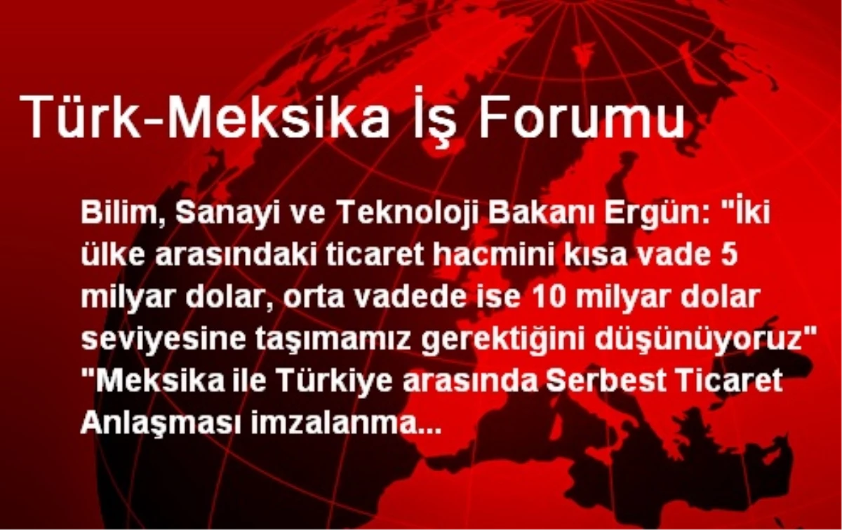 Türk-Meksika İş Forumu