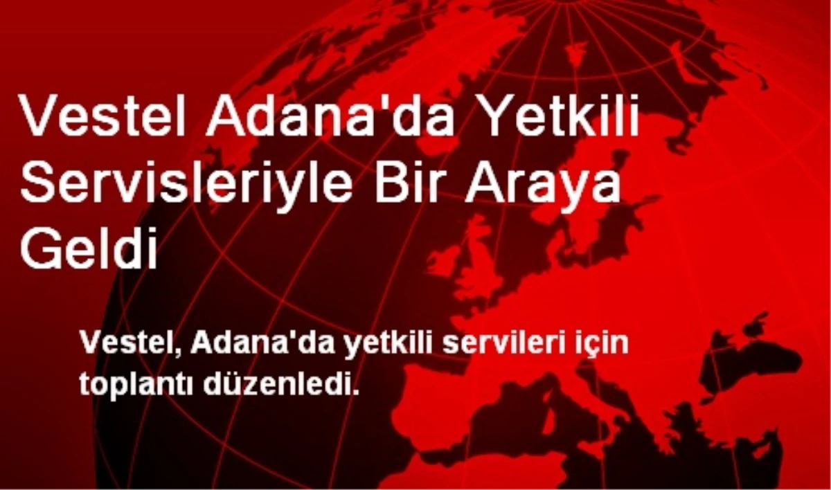 Vestel Adana\'da Yetkili Servisleriyle Bir Araya Geldi