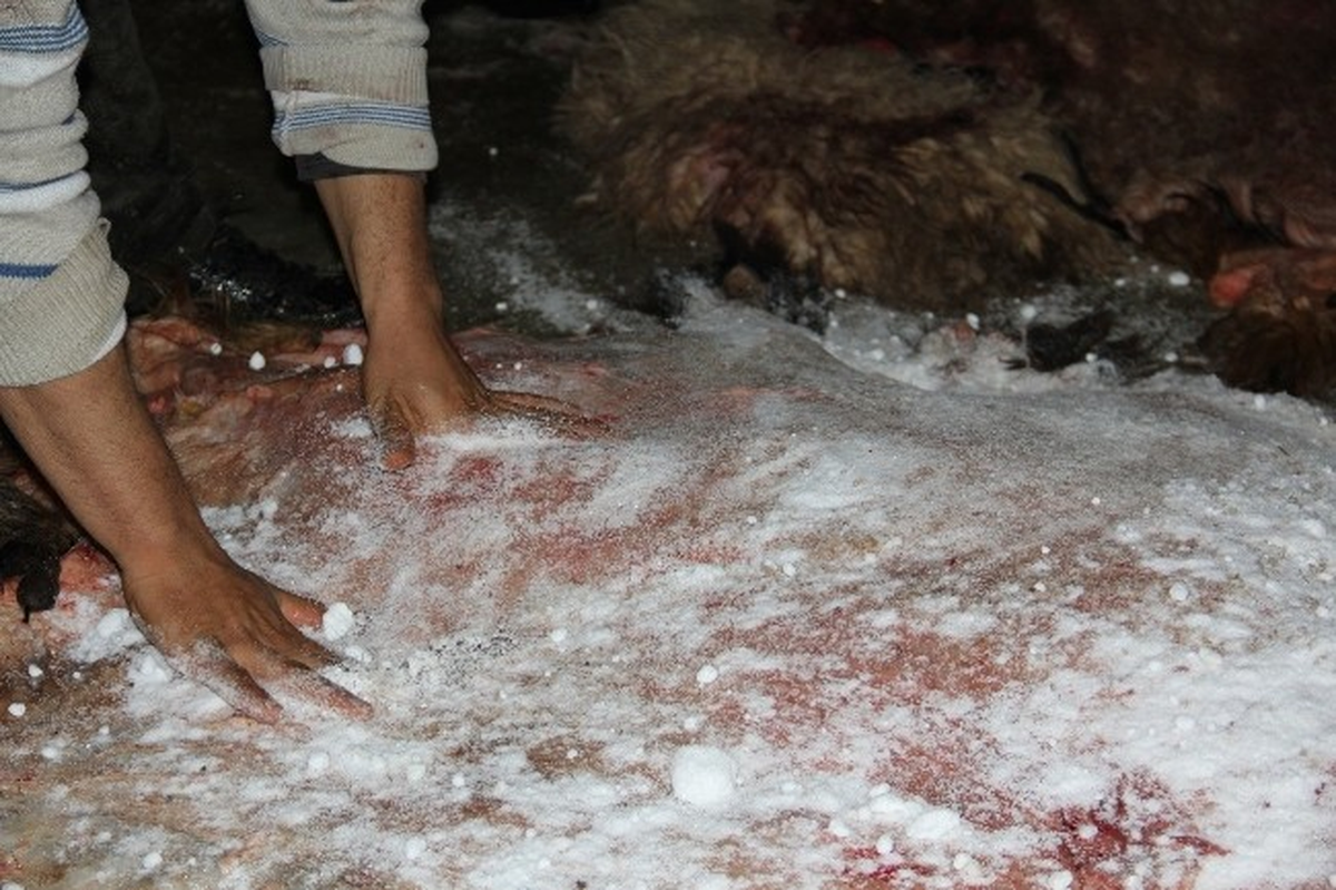 (Özel Haber) Dericiler 2014 Yılından Umutlu