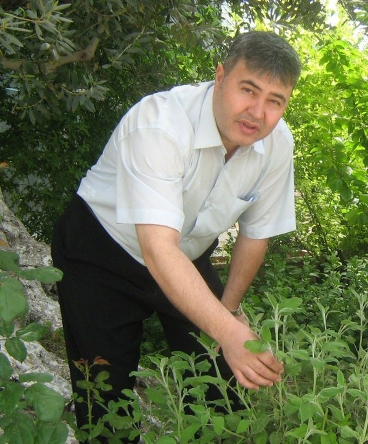 Pankreas Kanserine Bitkisel Destek