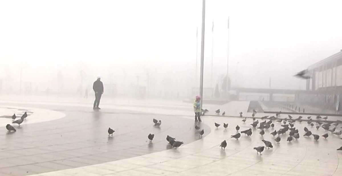 Sakarya\'da Yoğun Sis Hayatı Olumsuz Etkiledi
