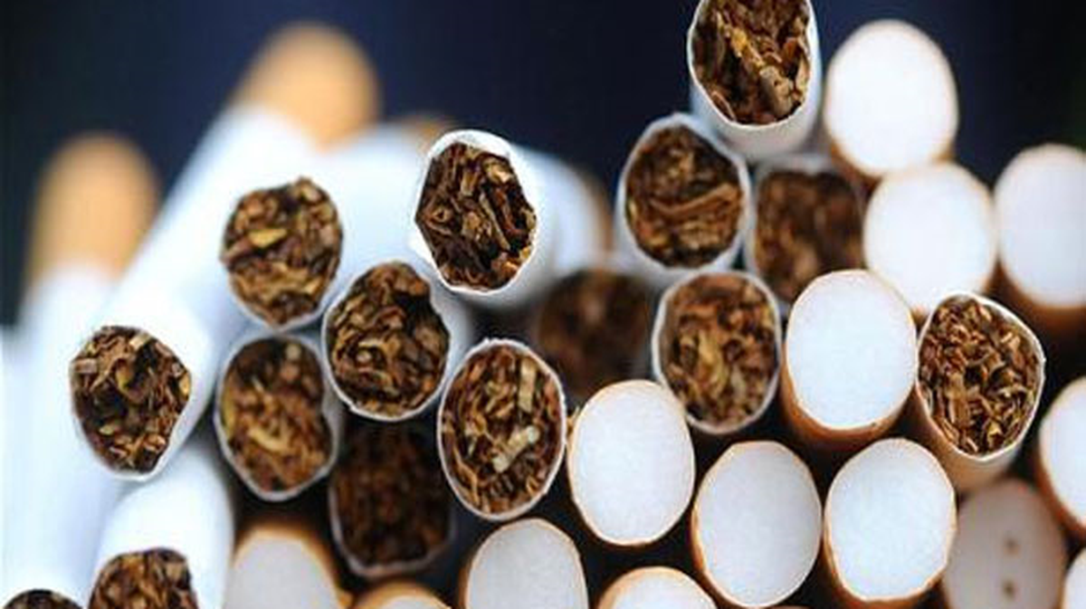 Tapdk, Tütün ve Alkol Üretimi Yapanların Alacağı Belgelerin Yeni Yıl Tarifesini Açıkladı