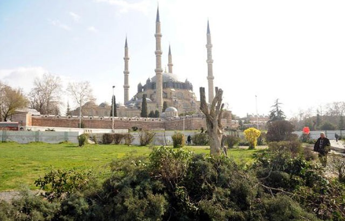 Tarihi Camilerin Çevresindeki Ağaçlar Kesildi !