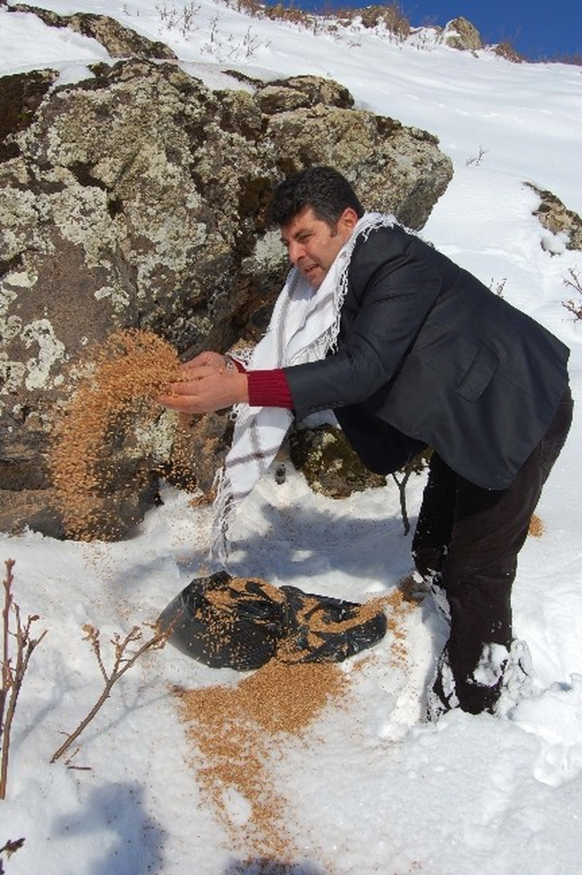 Bitlis\'te Yabani Hayvanlar İçin Doğaya Yem Bırakıldı