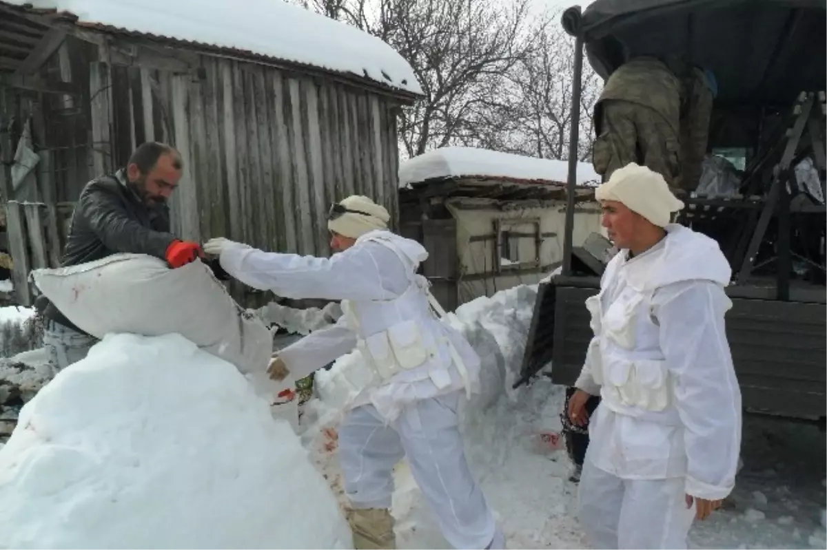 Gentepe Yaylasında Mahsur Kalanları Jandarma Kurtardı