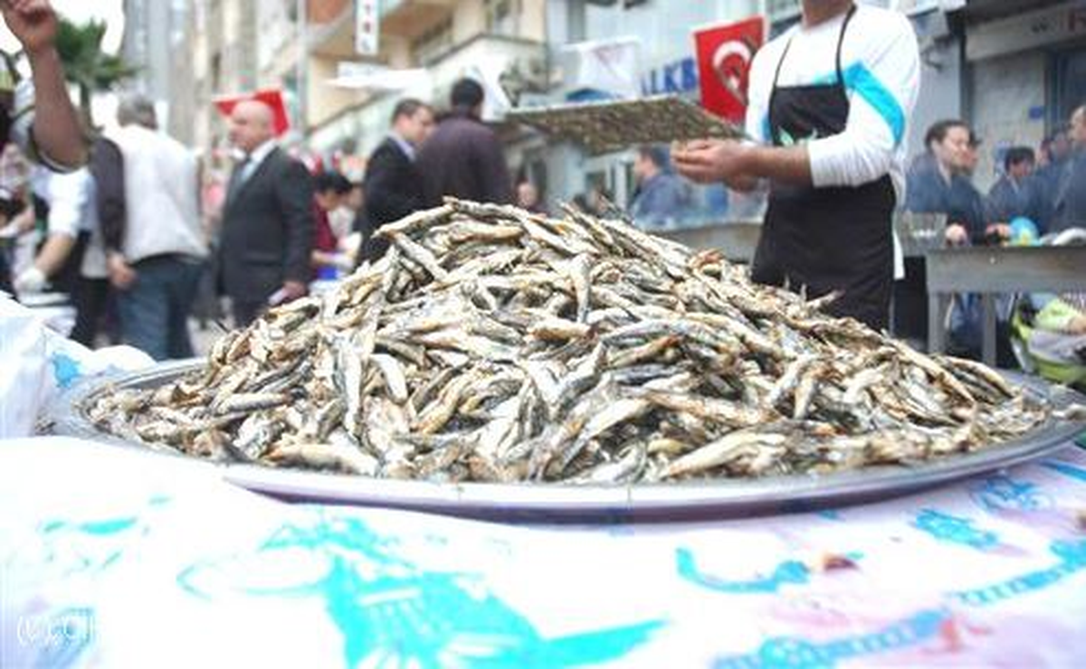 Kartal\'da Hamsi Festivali Düzenlenecek