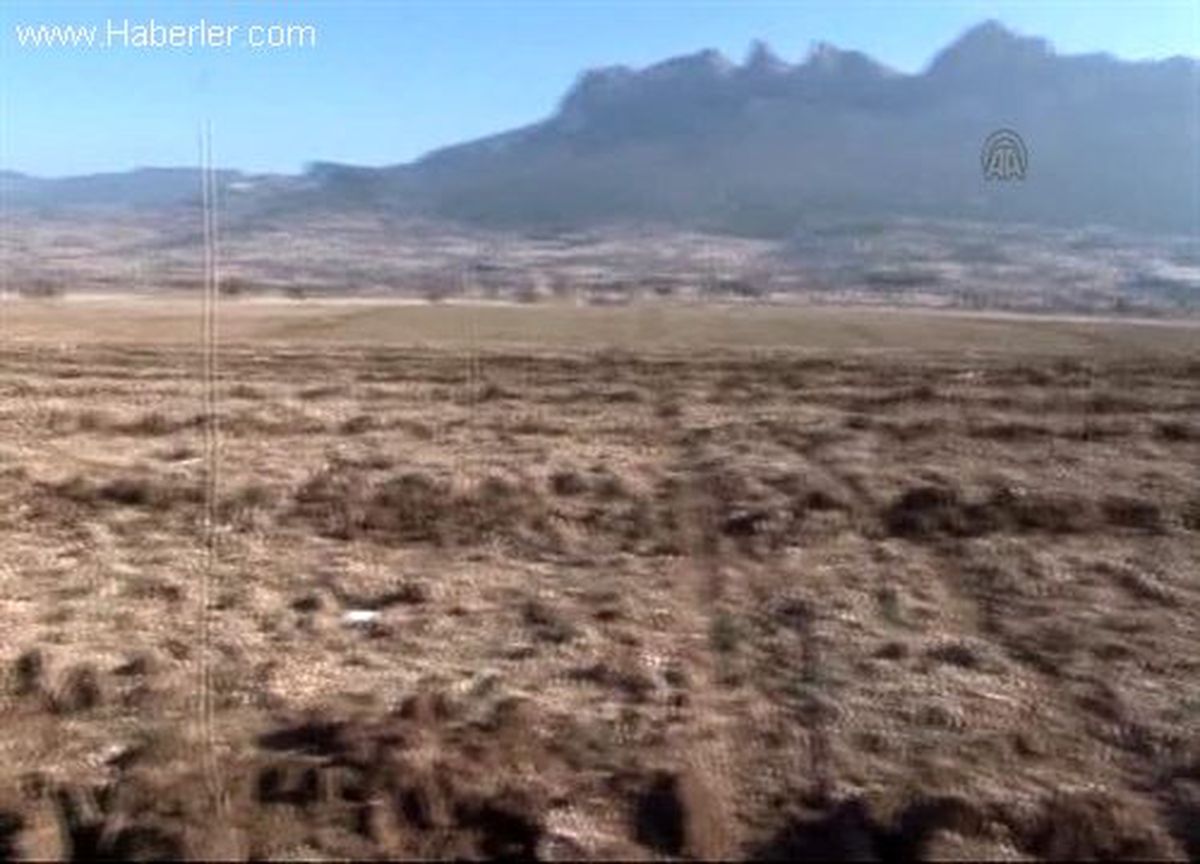 Pakistanlı İş Adamı Kiraz Üretimi İçin Türkiye\'den Arsa Aldı