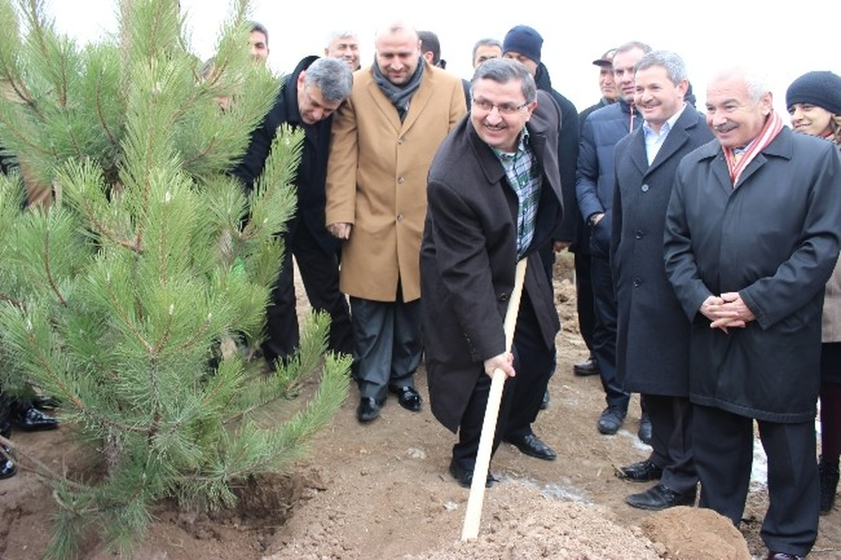 Memur-Sen Genel Başkanı Gündoğdu, Fidan Dikim Törenine Katıldı