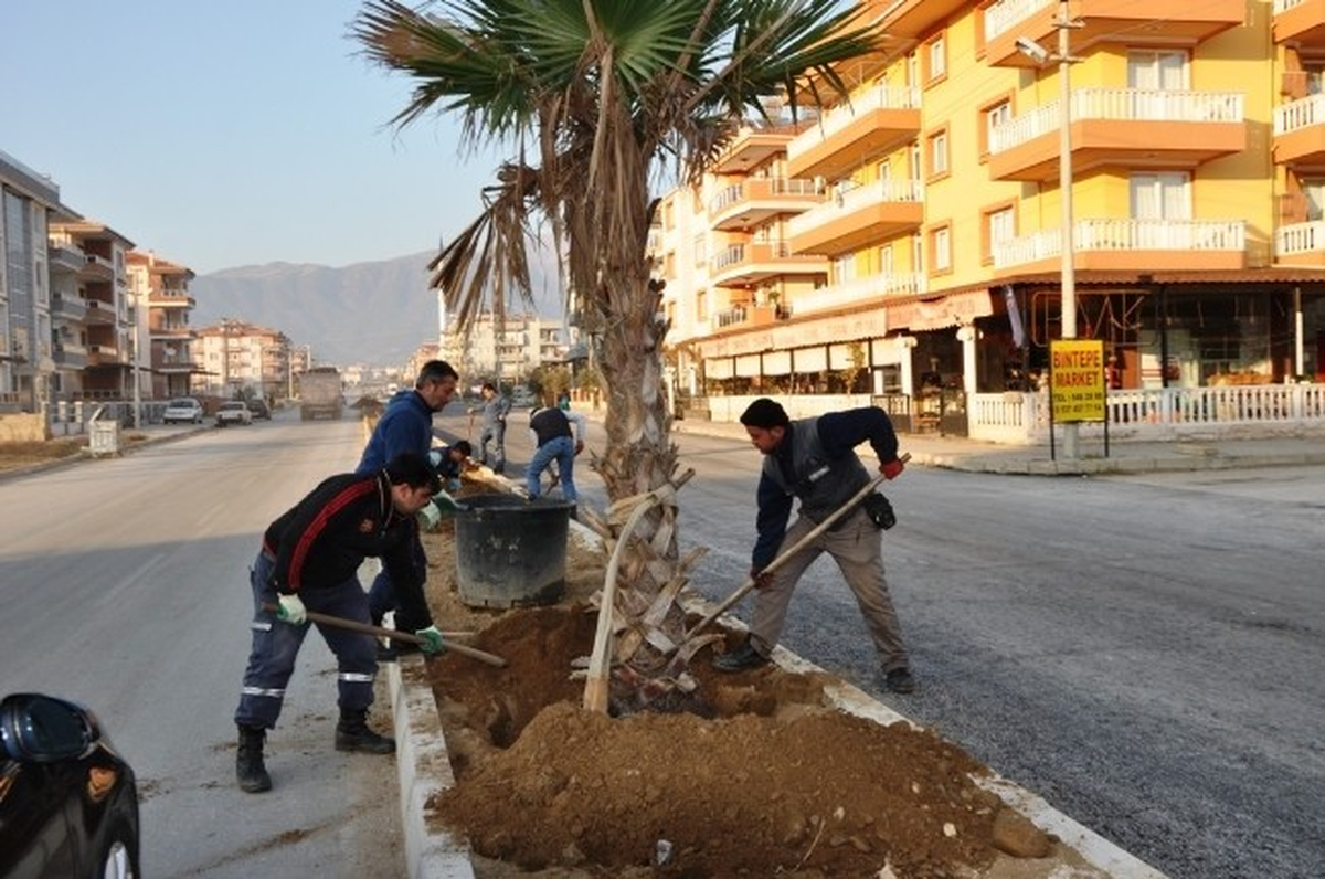 Ödemiş\'in Yeni Ana Caddesi Ağaçlandırılıyor