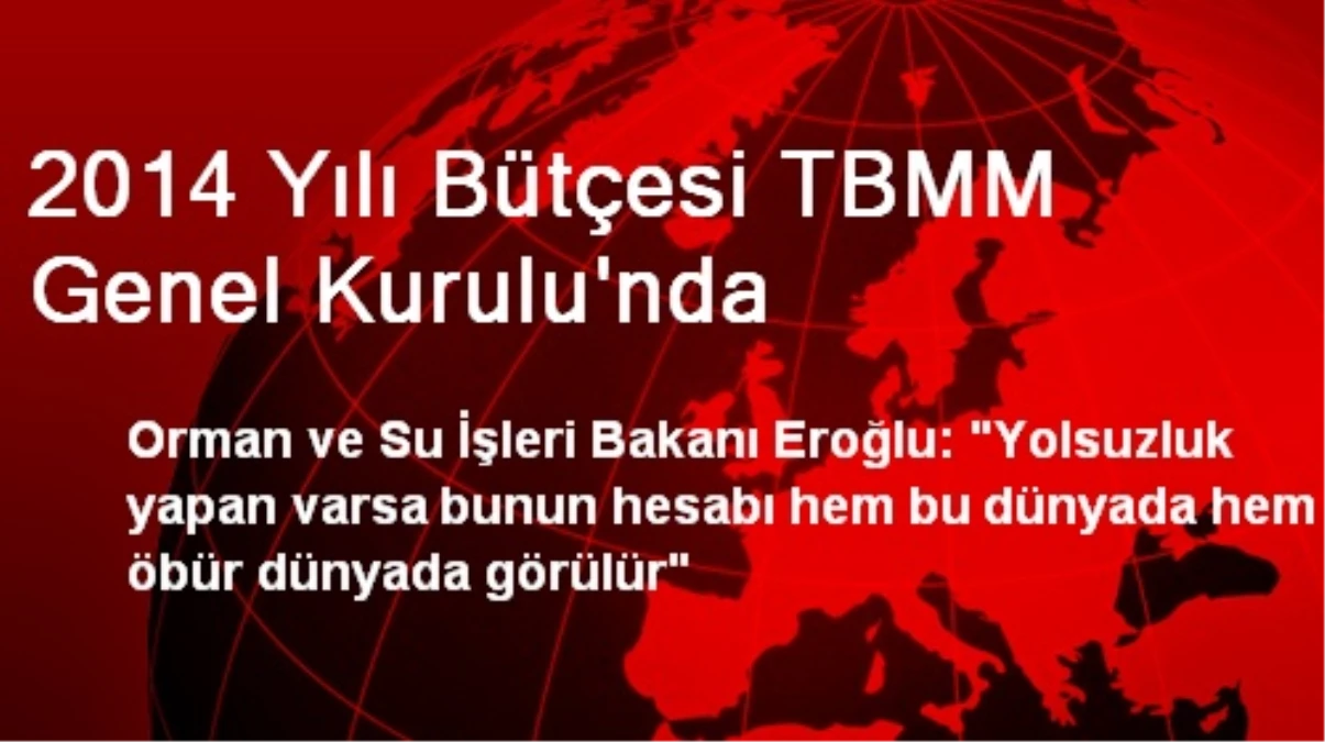 2014 Yılı Bütçesi TBMM Genel Kurulu\'nda