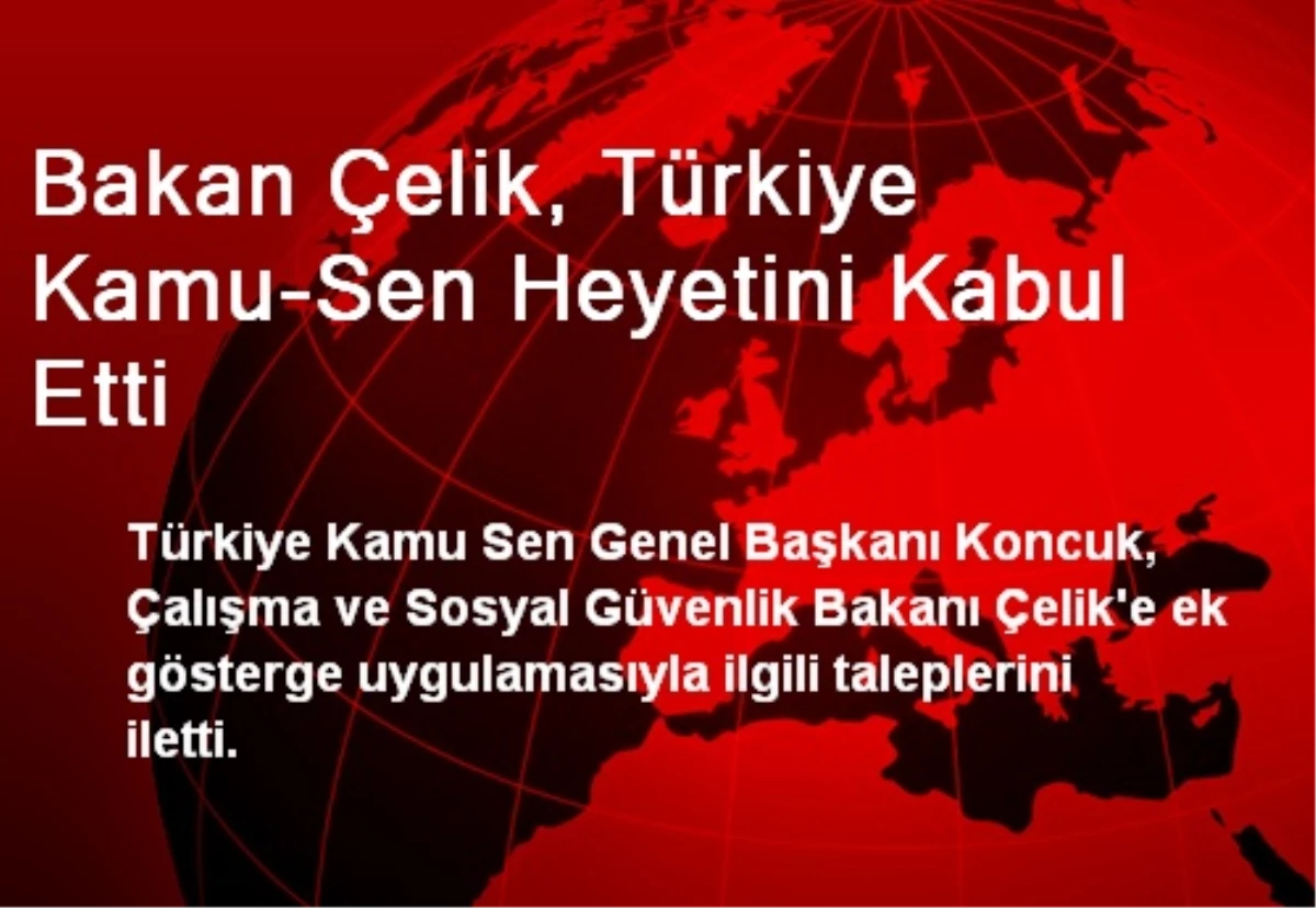 Bakan Çelik, Türkiye Kamu-Sen Heyetini Kabul Etti