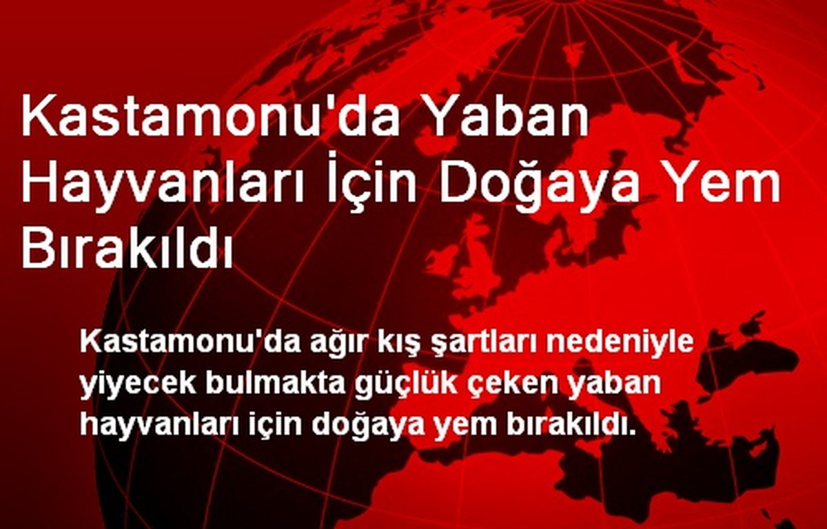 Kastamonu\'da Yaban Hayvanları İçin Doğaya Yem Bırakıldı