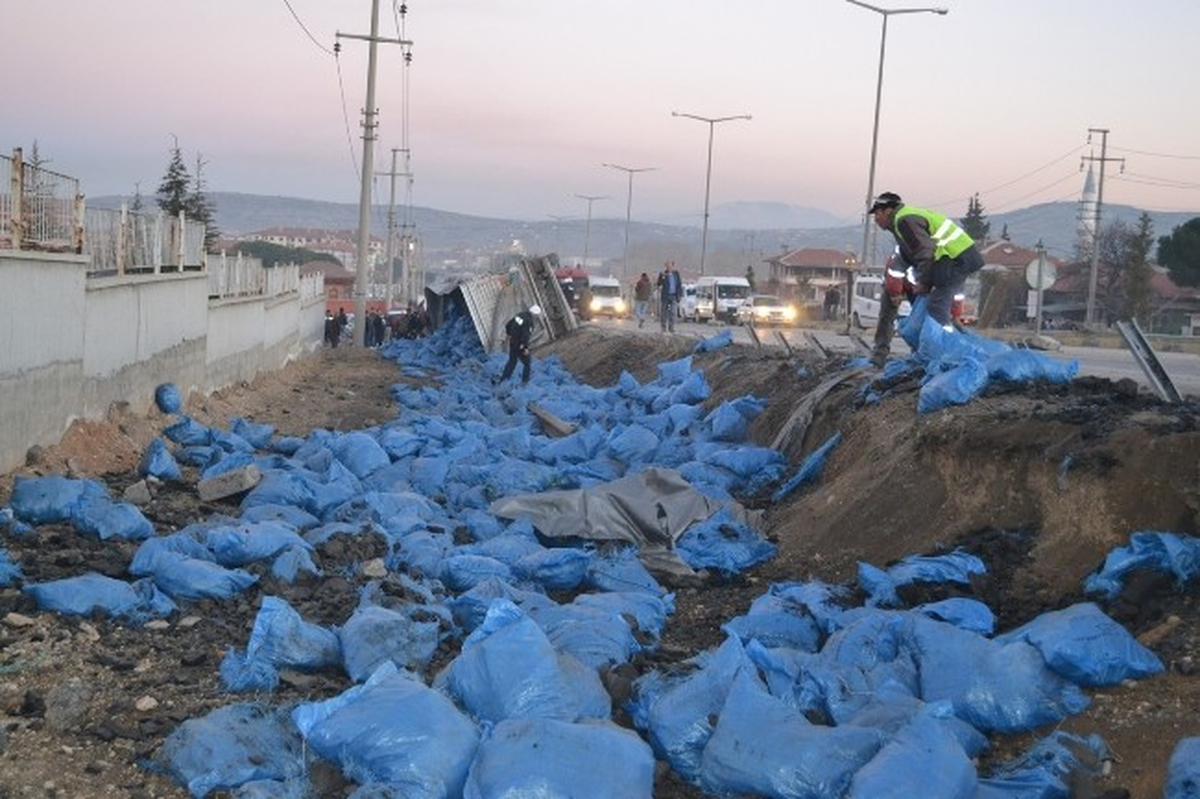 20 Ton Kömür Yüklü Tır Devrildi