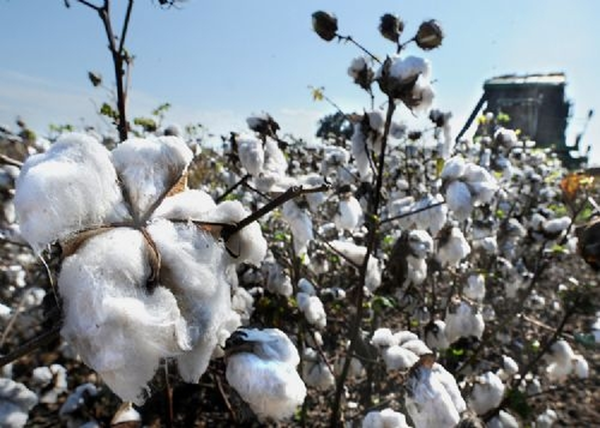 Adana Ticaret Borsası