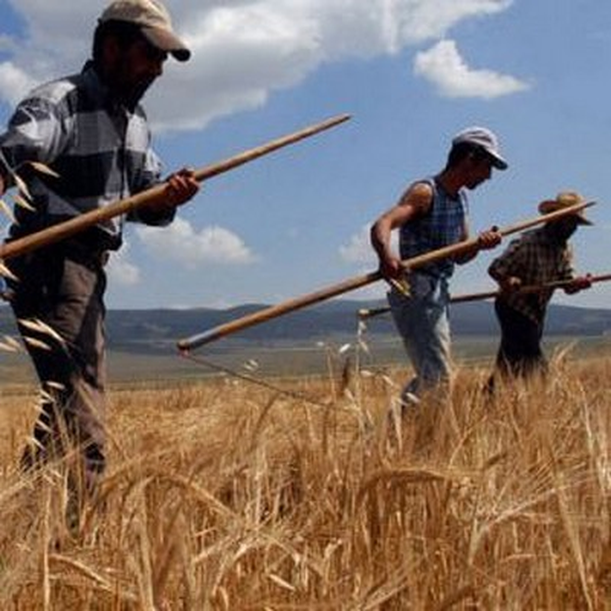 Alaplı\'da Gübre ve Mazot Desteği Uyarısı