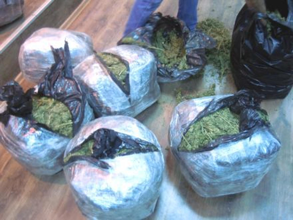 Ergani\'de Polis 251 Kilogram Esrar Ele Geçirdi