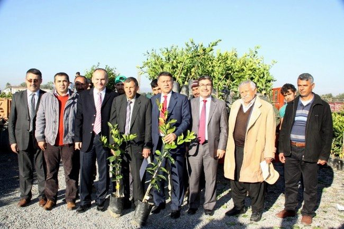 Erzin\'de Üreticiye Narenciye Fidanı Dağıtıldı