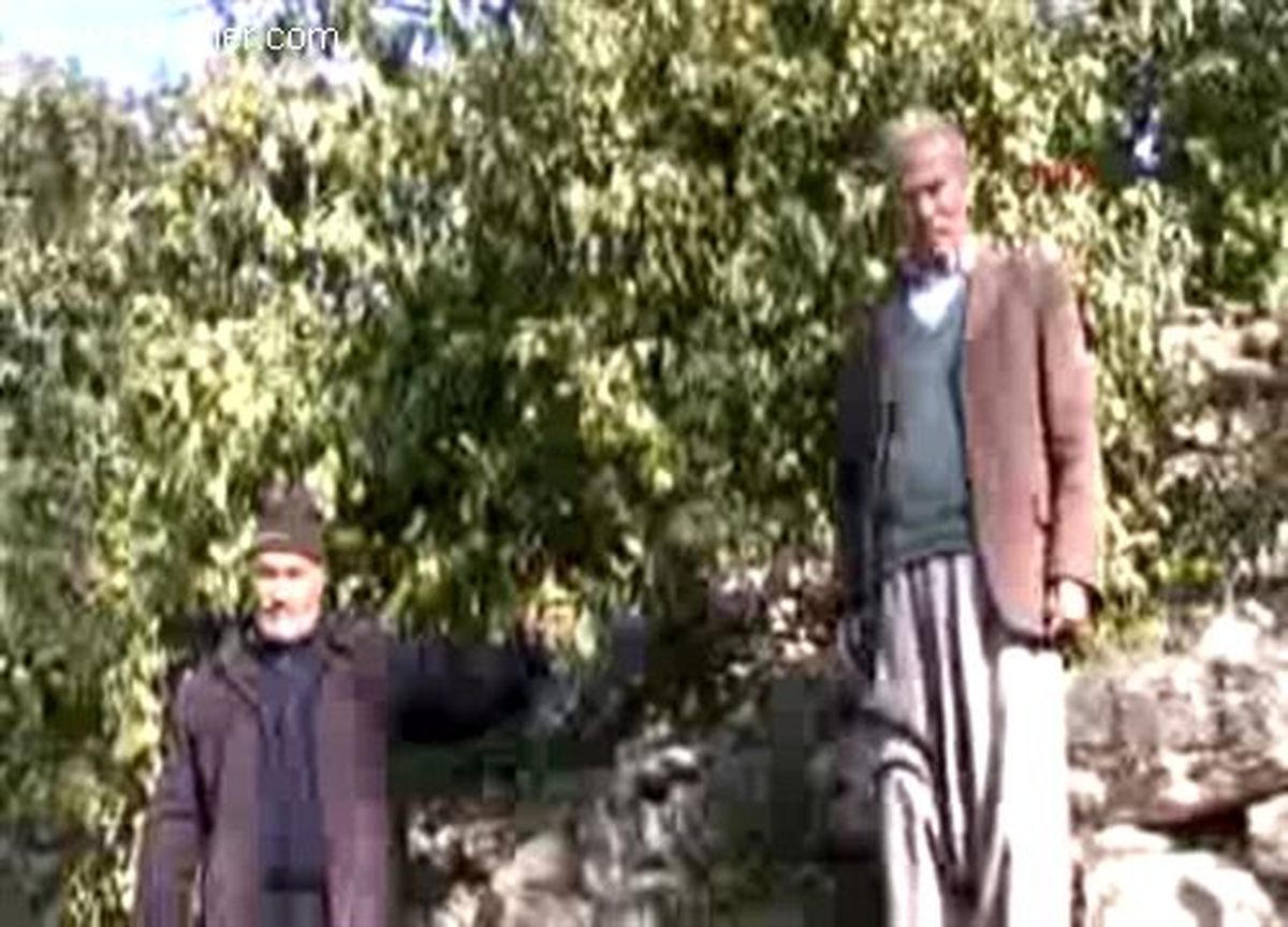 Mersin\'de Narenciye Bahçeleri Don Vurdu