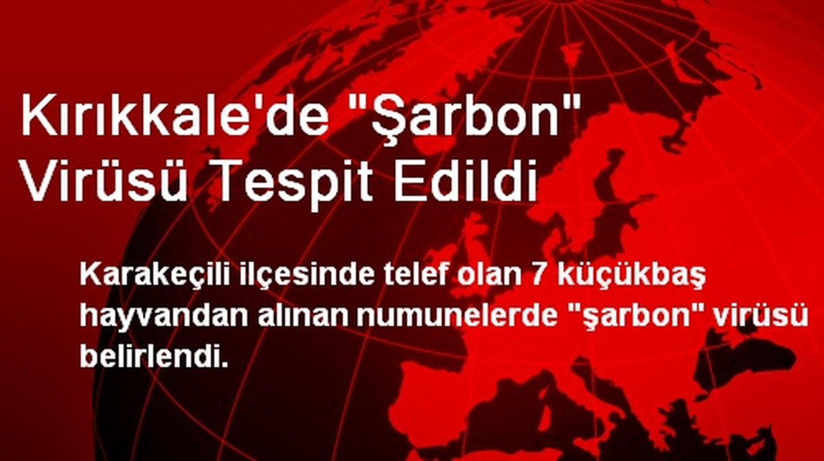 Kırıkkale\'de Şarbon Virüsü Tespit Edildi