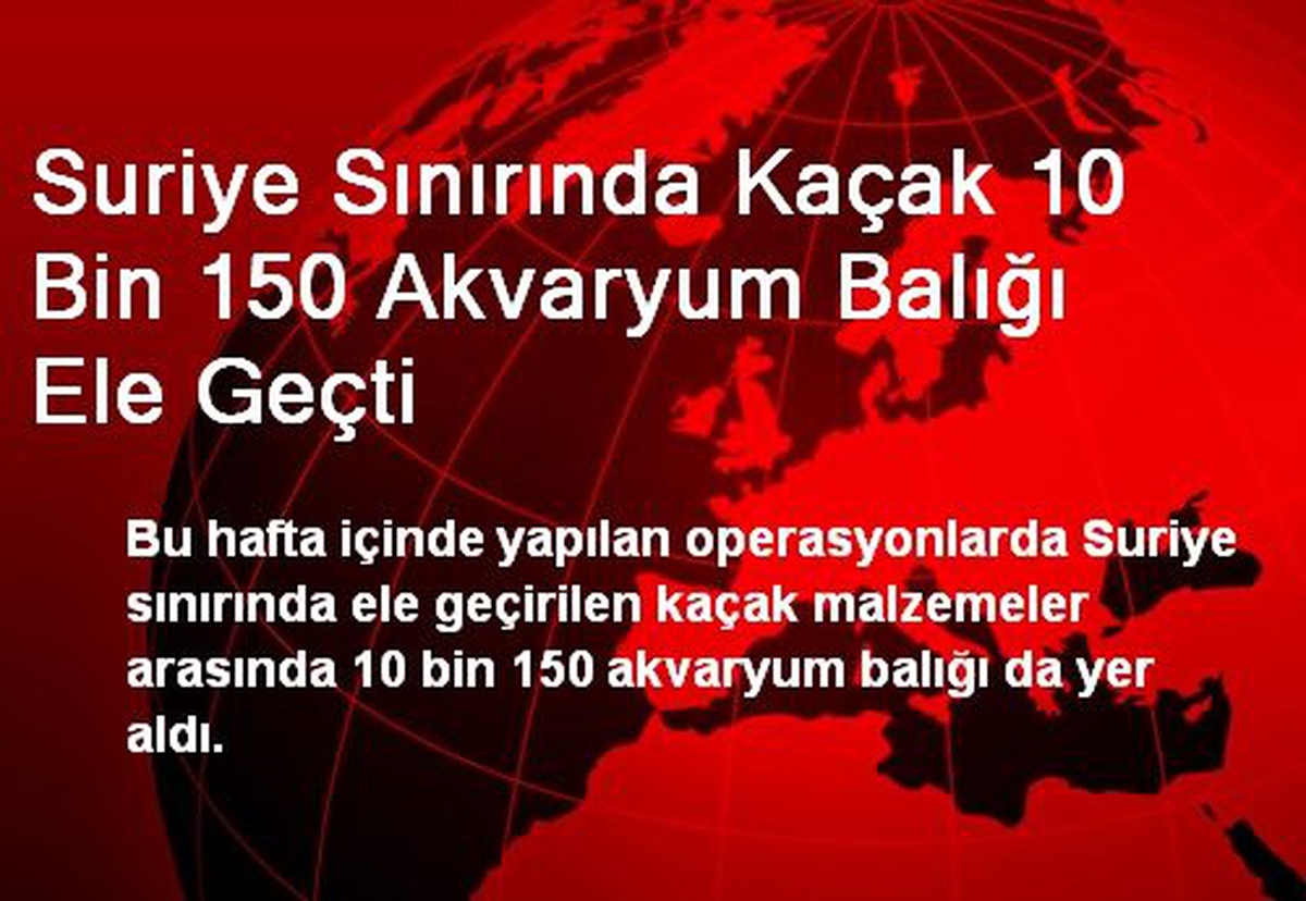 Suriye Sınırında 10 Bin 150 Akvaryum Balığı Ele Geçirildi