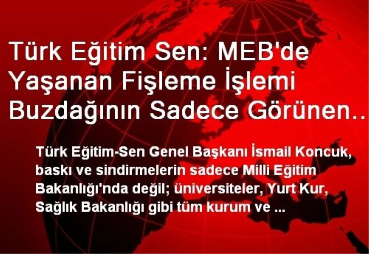 Türk Eğitim Sen: MEB\'de Yaşanan Fişleme İşlemi Buzdağının Sadece Görünen Tarafı