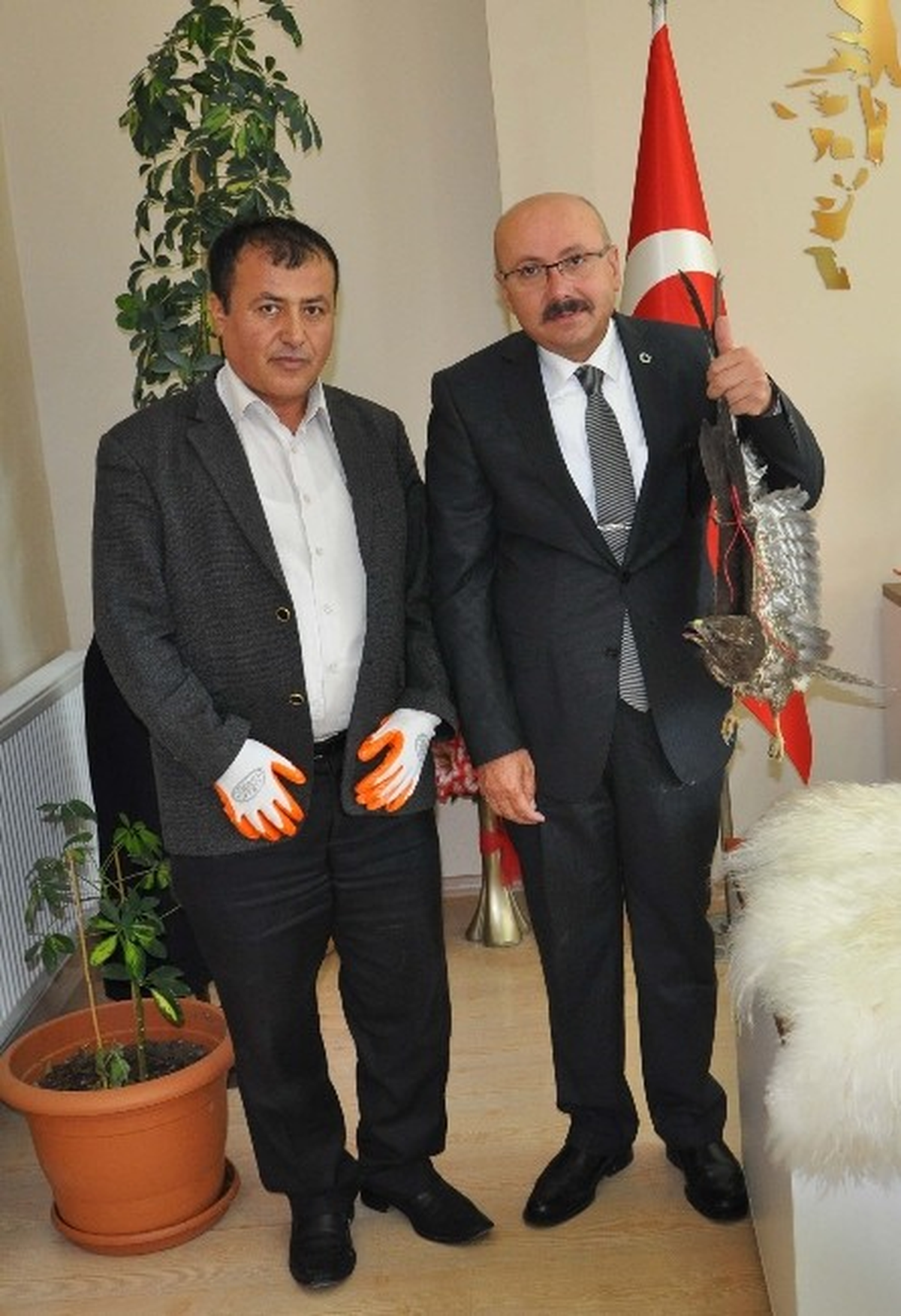 Yaralı Şahine Belediye Başkanı Sahip Çıktı