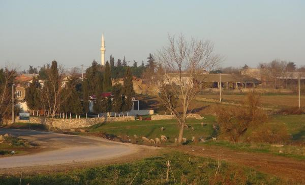 105 Küçükbaş Hayvanın Çiçek Hastalığından Telef Olduğu Köyde Karantina