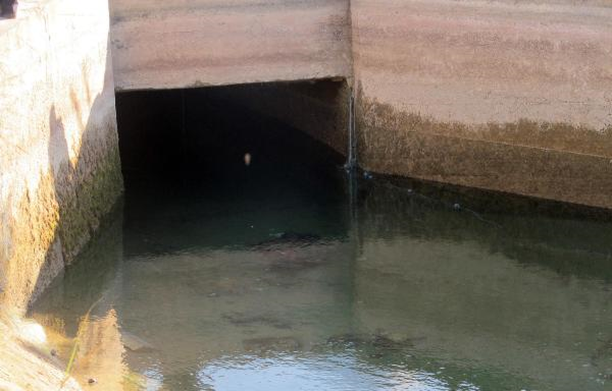 Avladığı 17 Kiloluk Balıkları Çıkartmak İsterken Öldü