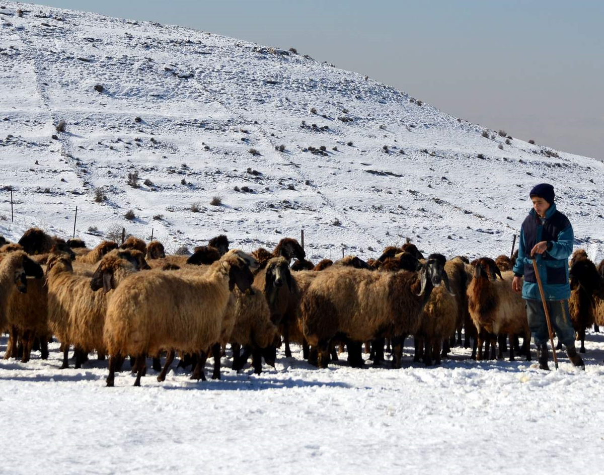 Çirav Dağında Mahsur Kalan Çoban Kurtarıldı