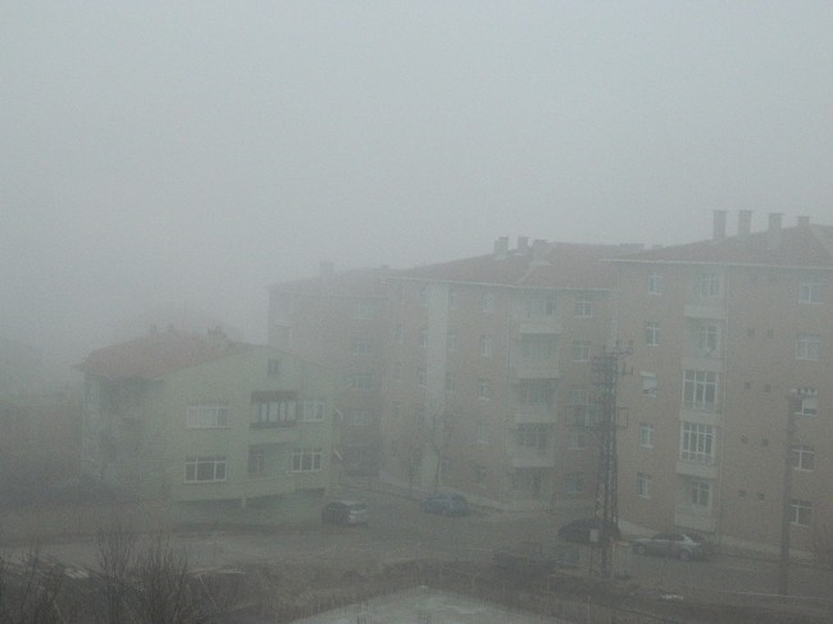 Hayrabolu\'da Yoğun Sis